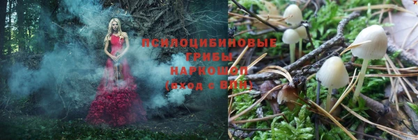 не бодяженный Алзамай