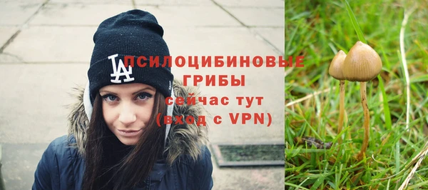 не бодяженный Алзамай