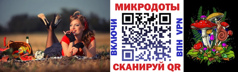 Псилоцибиновые грибы Psilocybe  Новомичуринск 